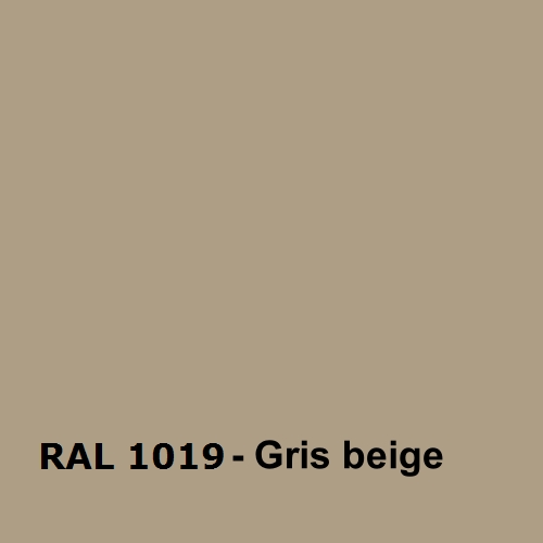 RAL1019 - Gris Beige